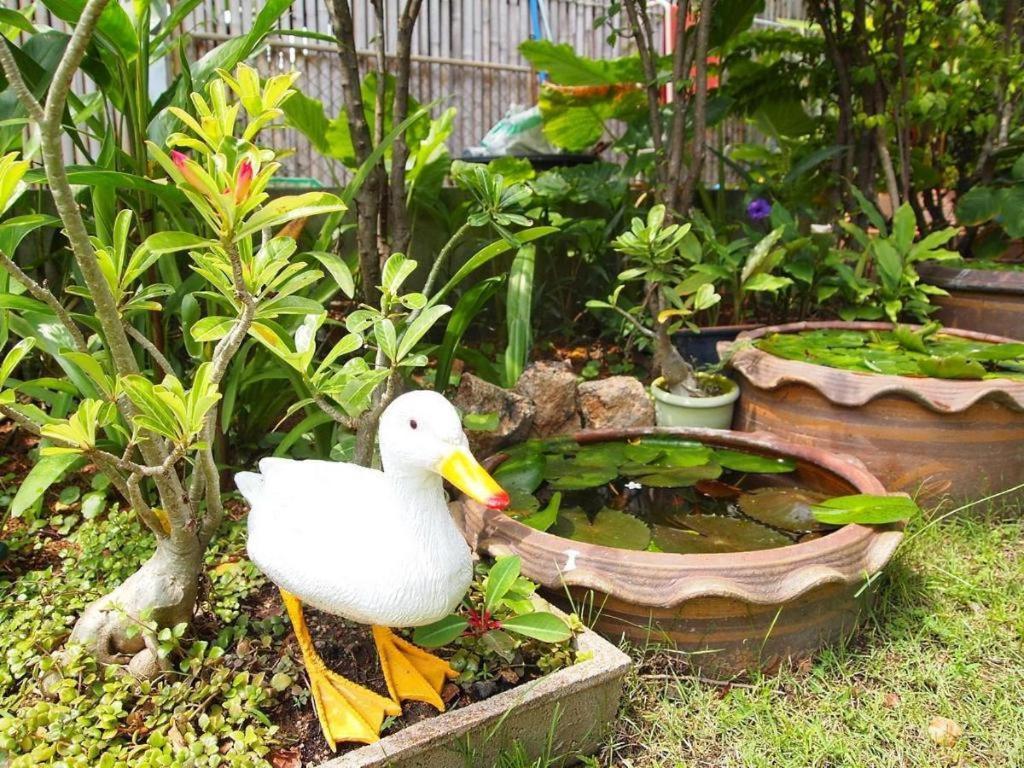 Baan Sala Lung Dam Hotel บ่อผุด ภายนอก รูปภาพ